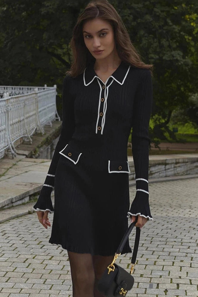 Elegant Long Sleeve Mini Dress