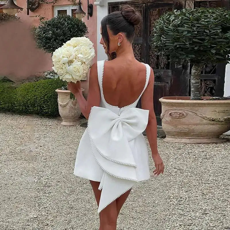 Pearl Trim Neckline Princess Seam Oversized Bow Back Fit and Flare Mini Dress