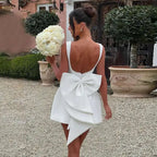 Pearl Trim Neckline Princess Seam Oversized Bow Back Fit and Flare Mini Dress