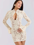 Brianna Lace Mini Dress