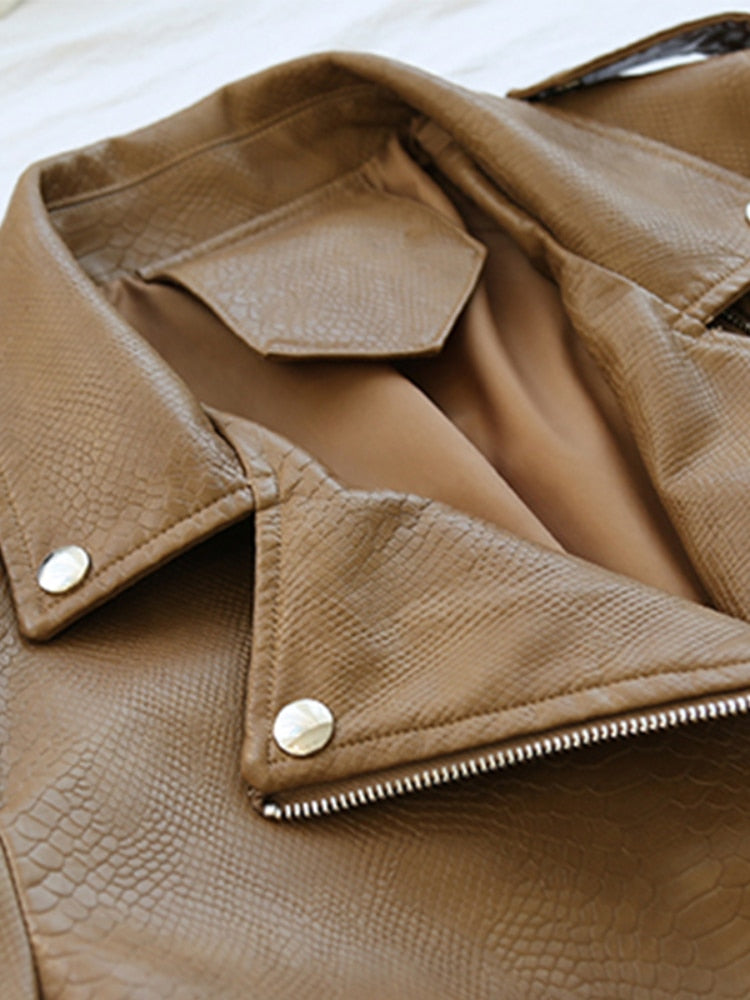 | Winter coat, elegant design