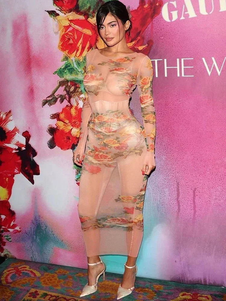 Floral Print Mesh Long Sleeve Crew Neck Bodycon Maxi Dress