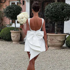 Pearl Trim Neckline Princess Seam Oversized Bow Back Fit and Flare Mini Dress