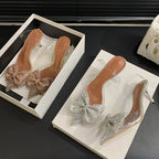 Crystal Bowknot PVC Transparent Women Pumps with Pointed Toe and Low Heels in Champagne Silver