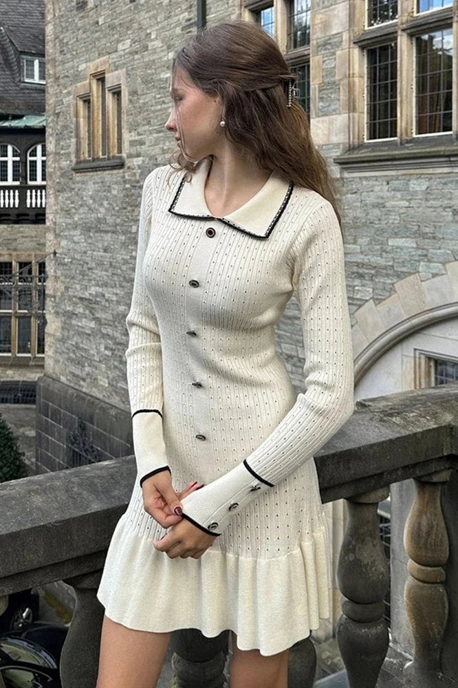 Elegant Slim Fit Mini Dress with Long Sleeves