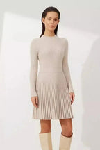 Pleated Slim Long Sleeve A-Line Mini Dress