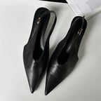 Pointed Toe Buckle Strap Pumps with Thin Low Heels for Women