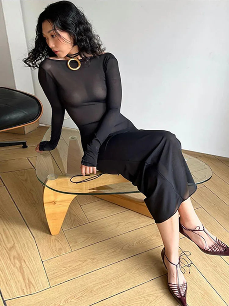 Mesh Sheer Long Sleeve Boat Neck Bodycon Midi Dress