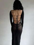 Mesh Sheer Long Sleeve Boat Neck Bodycon Midi Dress