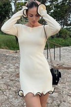 Elegant Slim Fit Long Sleeve Mini Dress