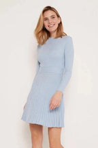 Pleated Slim Long Sleeve A-Line Mini Dress