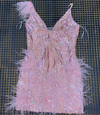 Antonella Mini Dress with Feather Sequin Embellishments