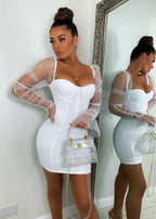 Arletta Mesh Puff Sleeve Dress
