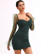 Mesh Puff Sleeve Dress
