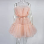 Graceful Mesh Ruched Dress with Refined Details