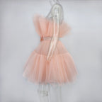 Graceful Mesh Ruched Dress with Refined Details