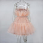 Graceful Mesh Ruched Dress with Refined Details