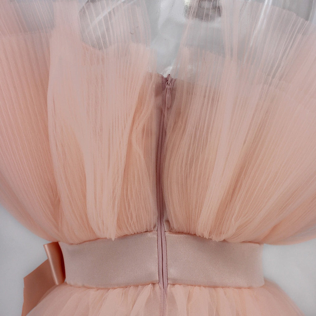 Graceful Mesh Ruched Dress with Refined Details