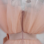 Graceful Mesh Ruched Dress with Refined Details