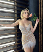 Sasa Sequin Dress with Sparkling Tassels