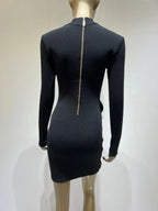 Chic Sleek Mesh Turtleneck Bandage Dress