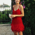 Antoinette Premium Mini Evening Dress with Sequins and Feathers ��� Hannah Designer Edit
