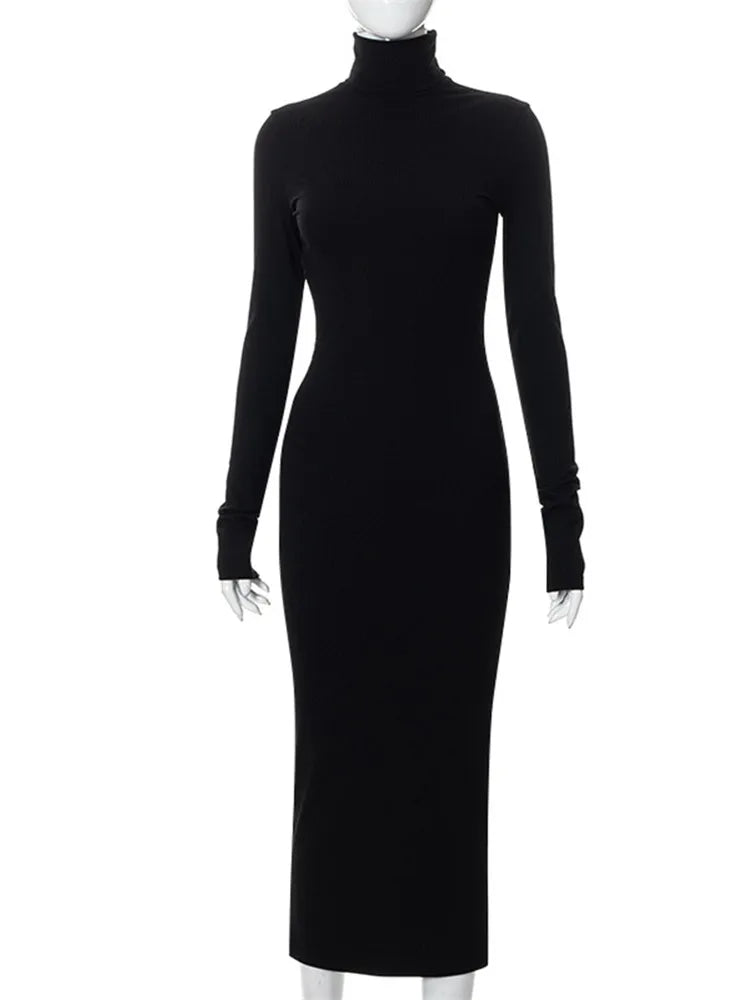 Turtleneck Long Sleeve Ribbed Knit Bodycon Maxi Dress