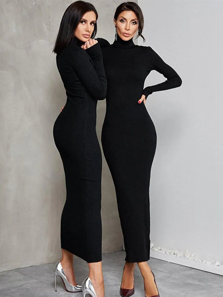 Turtleneck Long Sleeve Ribbed Knit Bodycon Maxi Dress