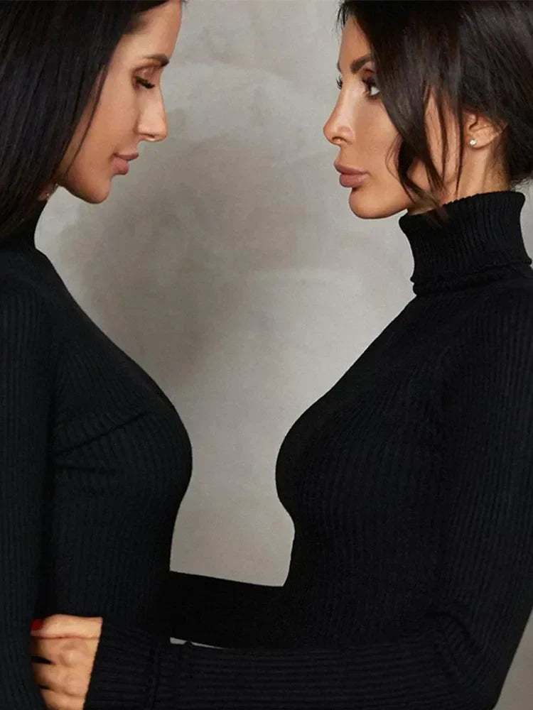 Turtleneck Long Sleeve Ribbed Knit Bodycon Maxi Dress