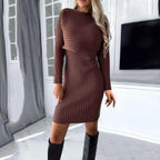 Ribbed Knit Cropped Long Sleeve Sweater and Bodycon Mini Dress Two Piece Set