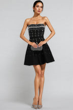 Kaelith Black Diamond Embellished Mini Dress