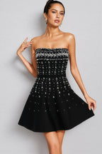 Kaelith Black Diamond Embellished Mini Dress