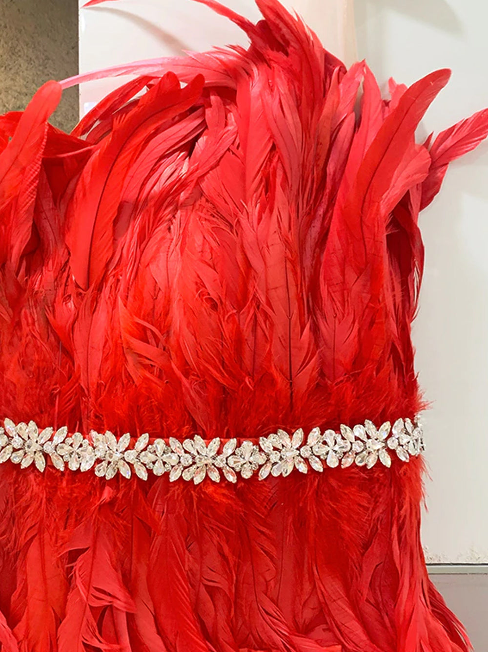OPERA Feathers Dress