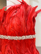 OPERA Feathers Dress
