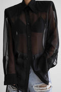 Elegant Sheer Long Sleeve Blouse