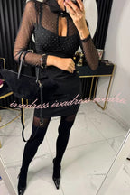 Stevie Mesh Glitter Fabric Cutout Shirt Neck Long Sleeve Stretch Mini Dress