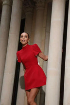 Mock Neck Petal Puff Sleeve Structured A-Line Mini Dress