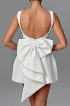Pearl Trim Boat Neck Fit and Flare Back Bow Mini Dress