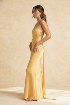 Bodycon Asymmetrical Neck Silk Dress