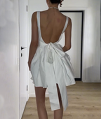 Chic Big Bowknot Backless Dress