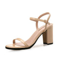 Sandals Female Fairy Style Fashion Wild Mid-heel Thick Heel Fashion Word Buckle High Heels Summer