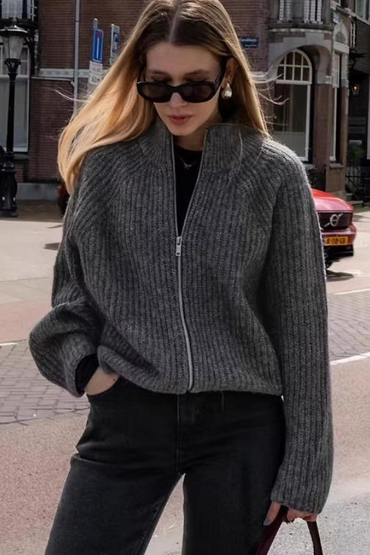 Minimalist Solid Color Double Zipper Stand Collar Sweater