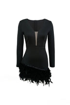 Feather Trim Deep V-Neck Long Sleeve Fit and Flare Mini Dress