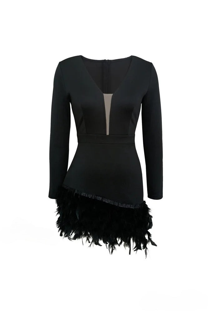 Feather Trim Deep V-Neck Long Sleeve Fit and Flare Mini Dress