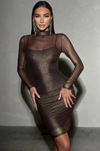 Mock Neck Sheer Mesh Overlay Long Sleeve Bodycon Mini Dress