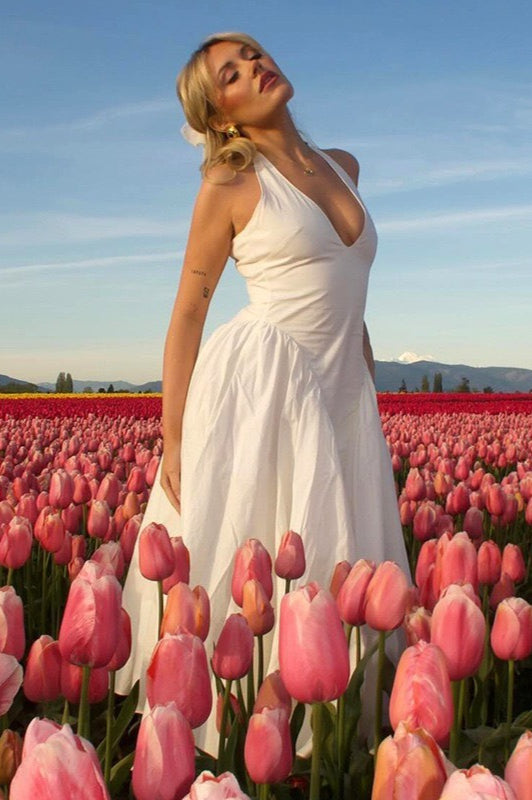 Halter Neck Deep V-Neck Drop Waist Fit and Flare Maxi Dress