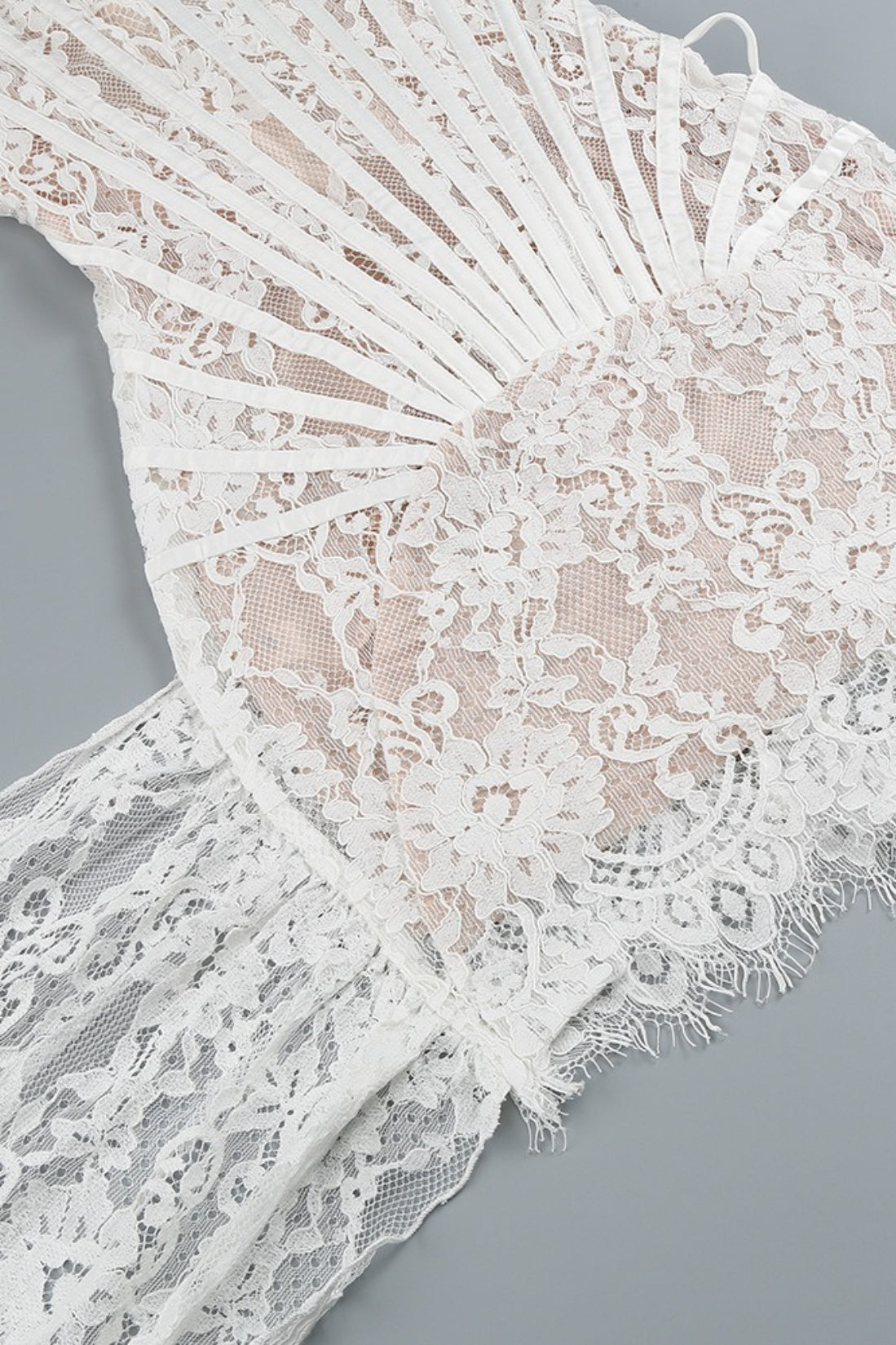 Strapless Lace Corset Sheer Panel Mini Dress