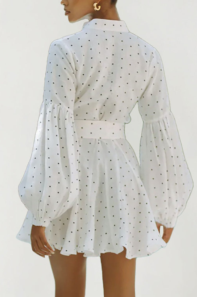 Polka Dot Puff Sleeve Stand Collar Button Front Tie Waist Mini Dress