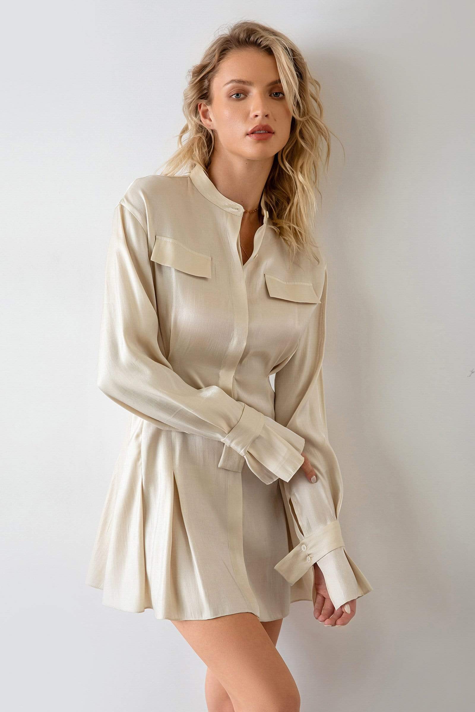 Satin Shirt Collar Button-Front Pleated Mini Dress