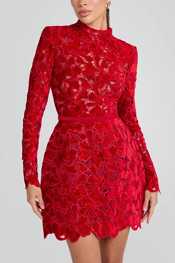 Burnout Velvet Floral Lace Mock Neck Long Sleeve Bodycon Mini Dress